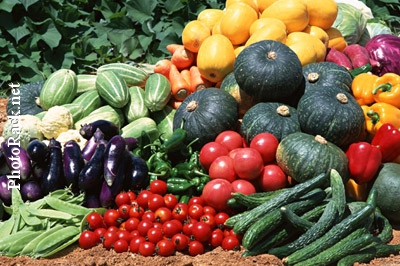 Bunte Vielfalt: Gemüse bietet viel Abwechslung und sollte täglich auf den Teller kommen.
