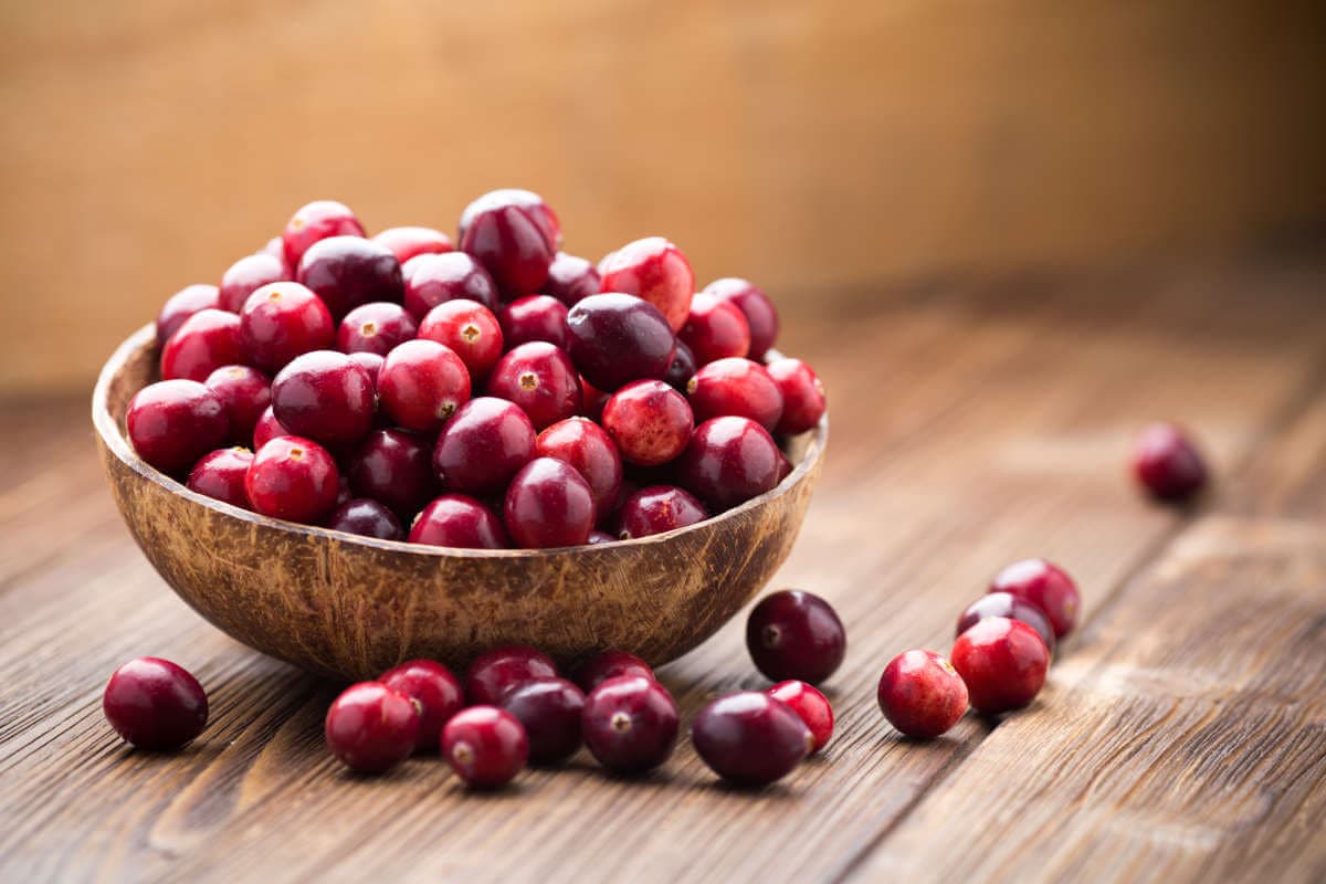 Nahrungsergänzung im Blick: Cranberry-Produkte
