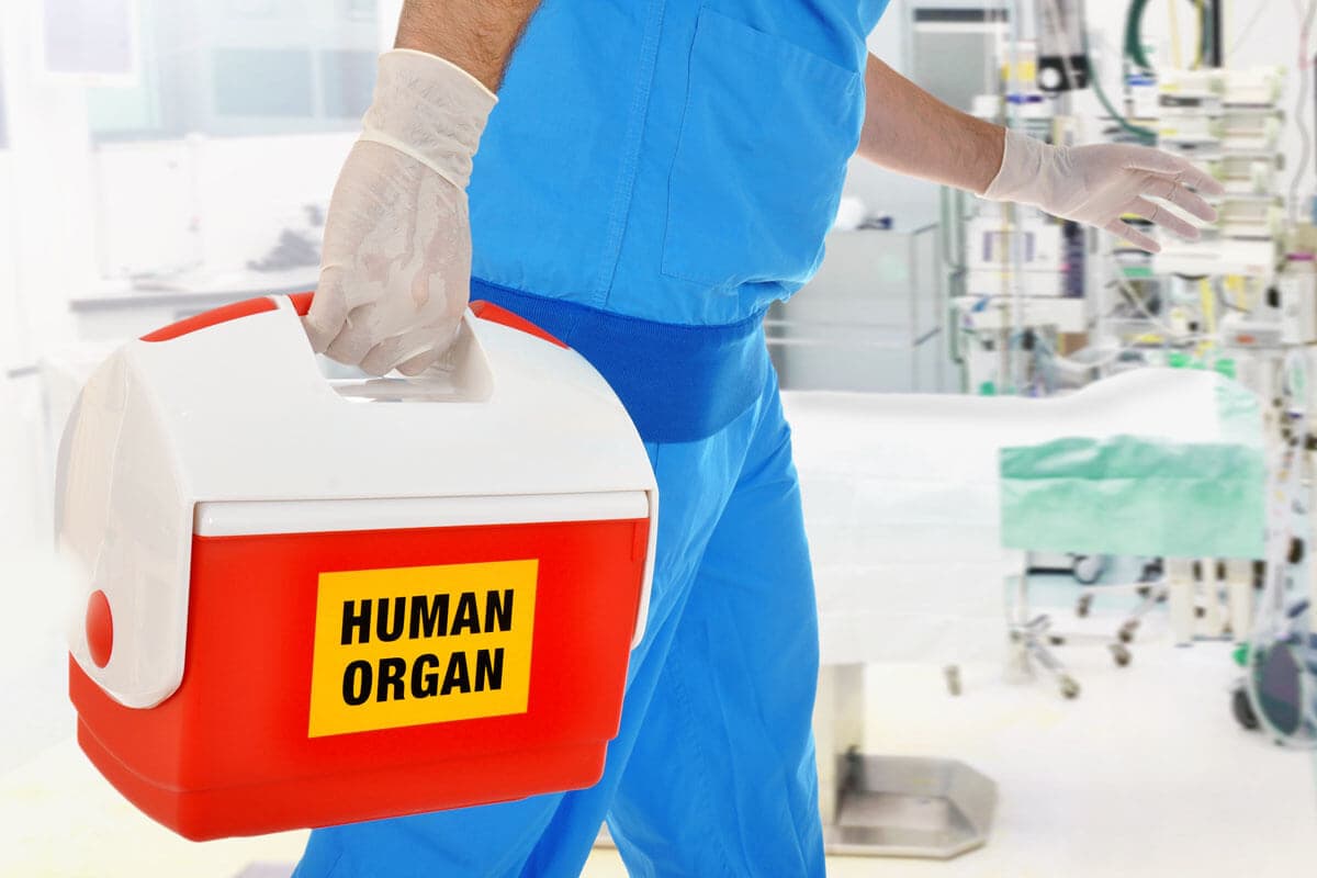 2020: So viele Organe wurden gespendet