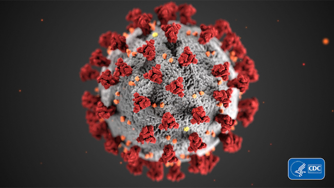 csm Modell Coronavirus